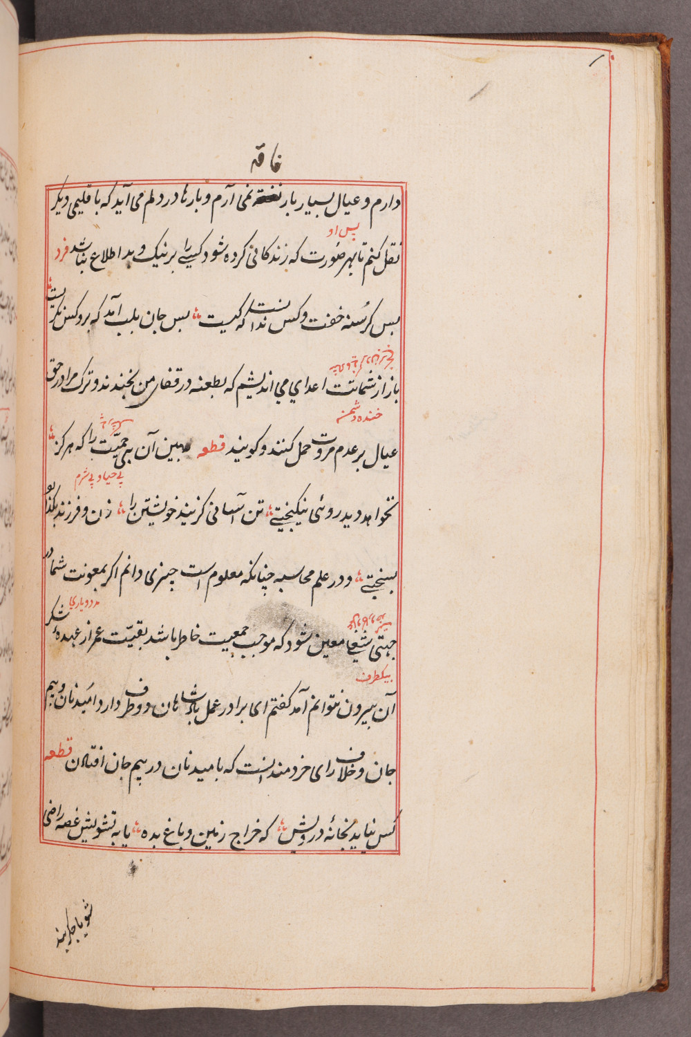 Folio 20 verso (29 b)